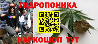 альфа пвп Волгодонск