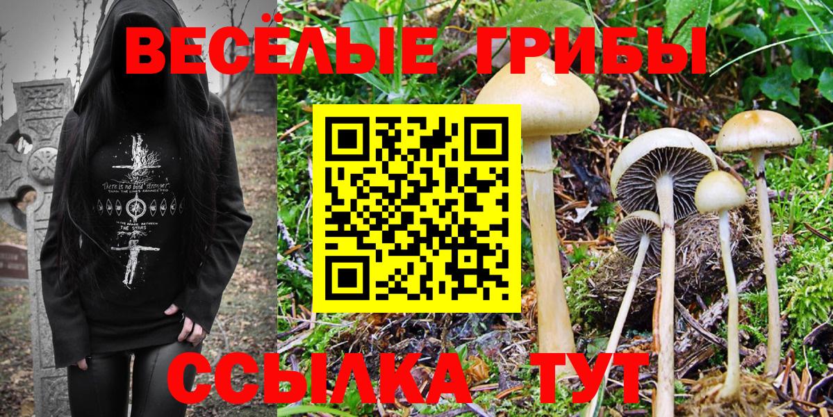 ГАШИШ  COCAIN  Мефедрон   Экстази  Новочебоксарск  Вход с VPN  Канабис 