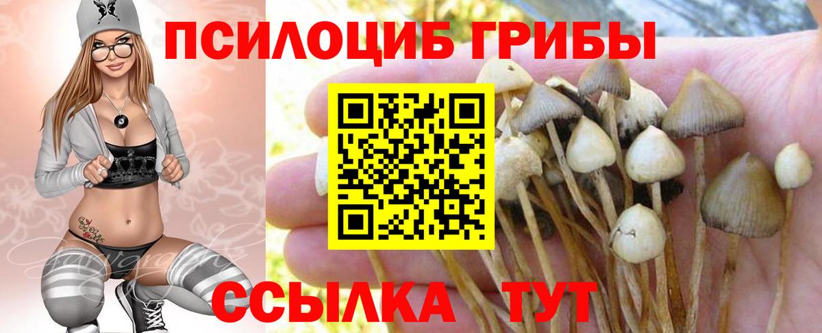 Галлюциногенные грибы Cubensis  Галлюциногенные грибы GOLDEN TEACHER  Новочебоксарск  Вход с VPN 